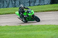 Lower Group Green Bikes